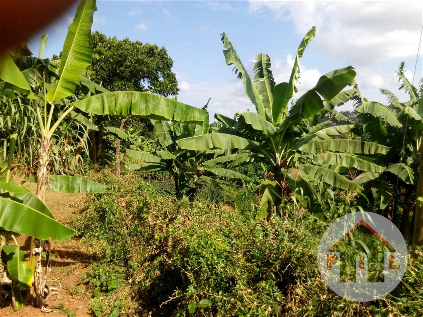 Residential Land for sale in Bwebajja Wakiso