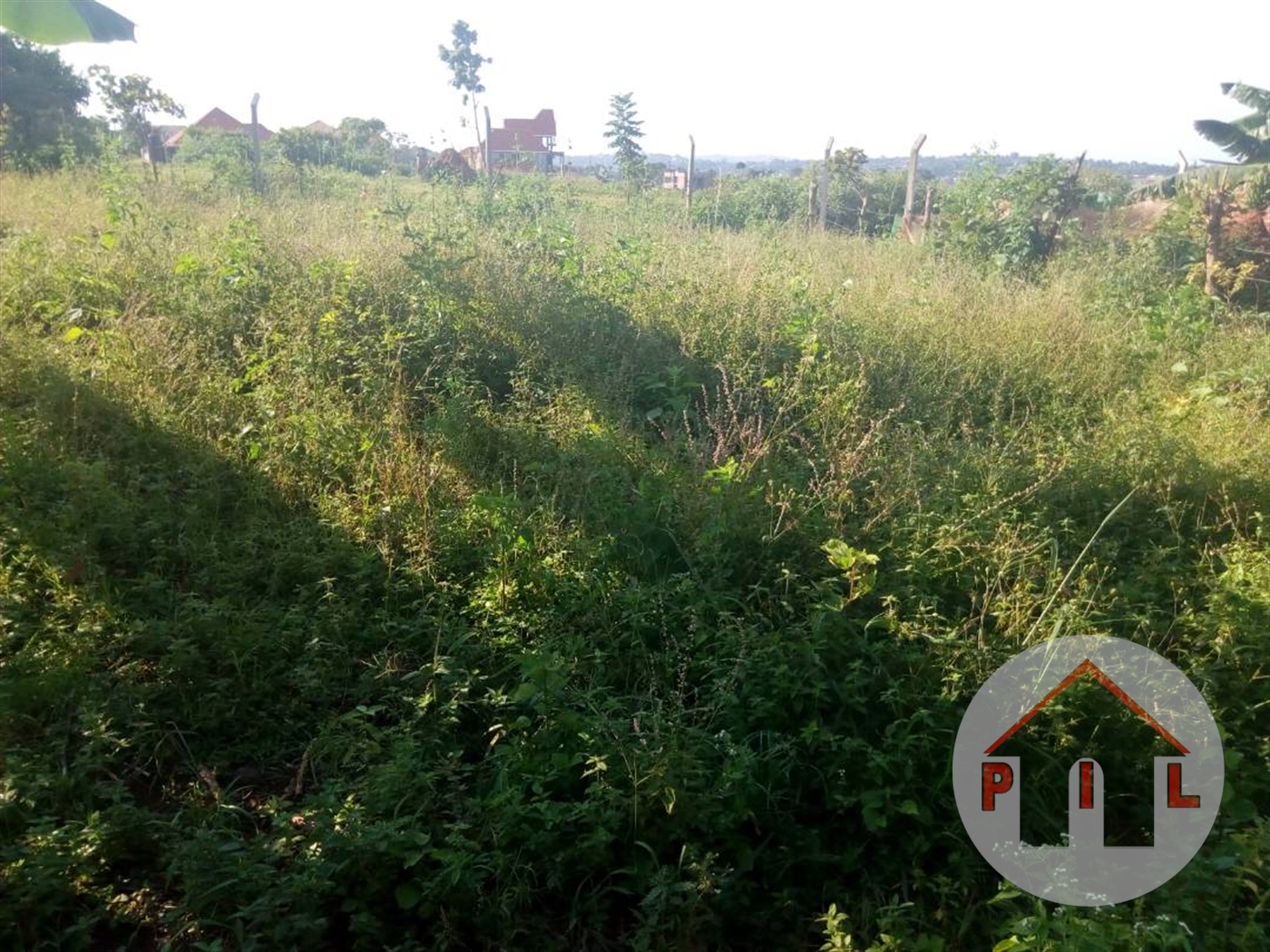 Agricultural Land for sale in Kikyuusa Luweero