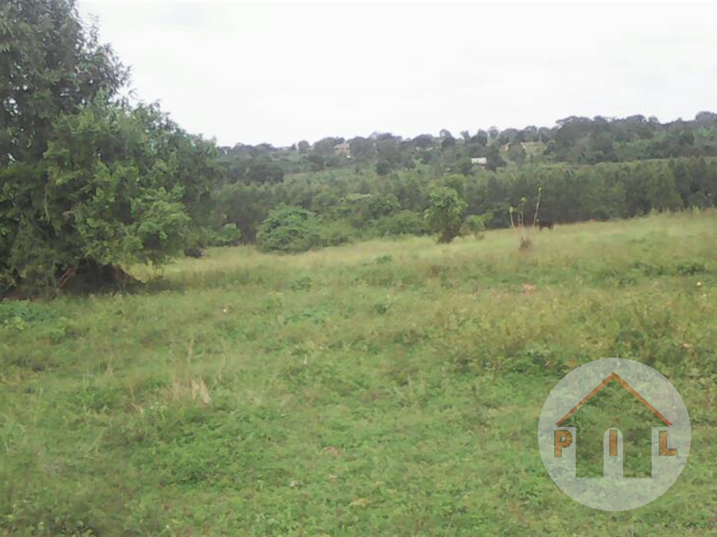 Agricultural Land for sale in Nangabo Wakiso