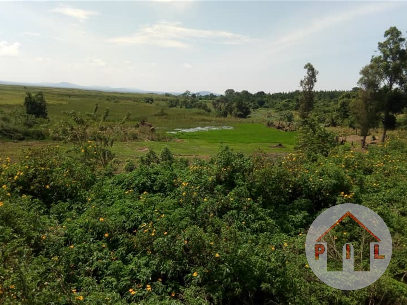 Agricultural Land for sale in Kumusaanvu Wakiso