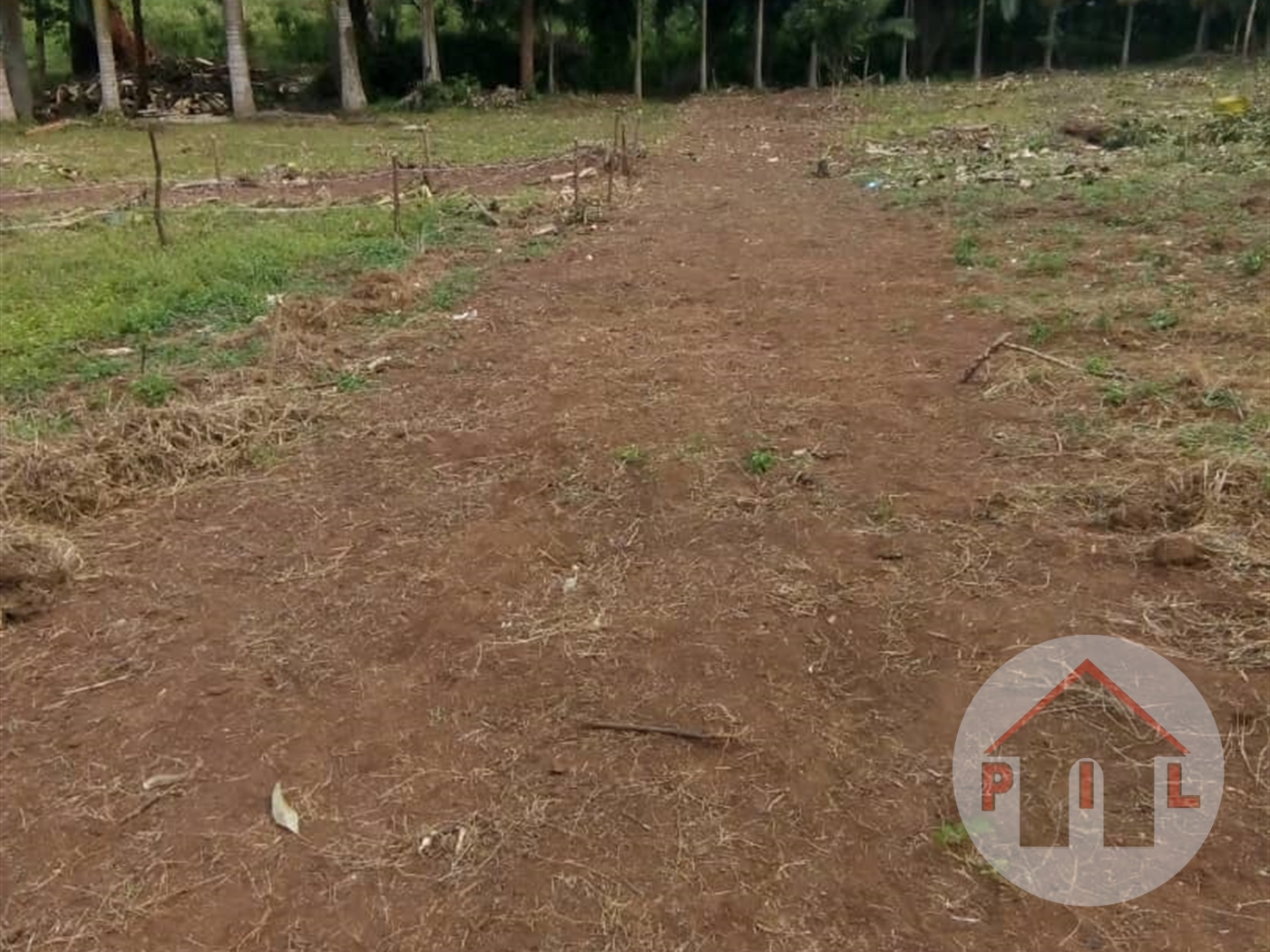 Agricultural Land for sale in Kumusaanvu Wakiso