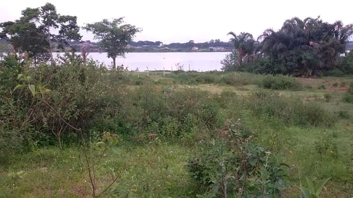 Residential Land for sale in Nkumba Wakiso