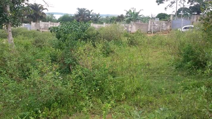 Residential Land for sale in Nkumba Wakiso