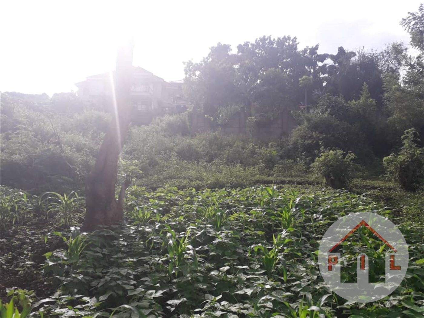 Residential Land for sale in Bunamwaaya Wakiso