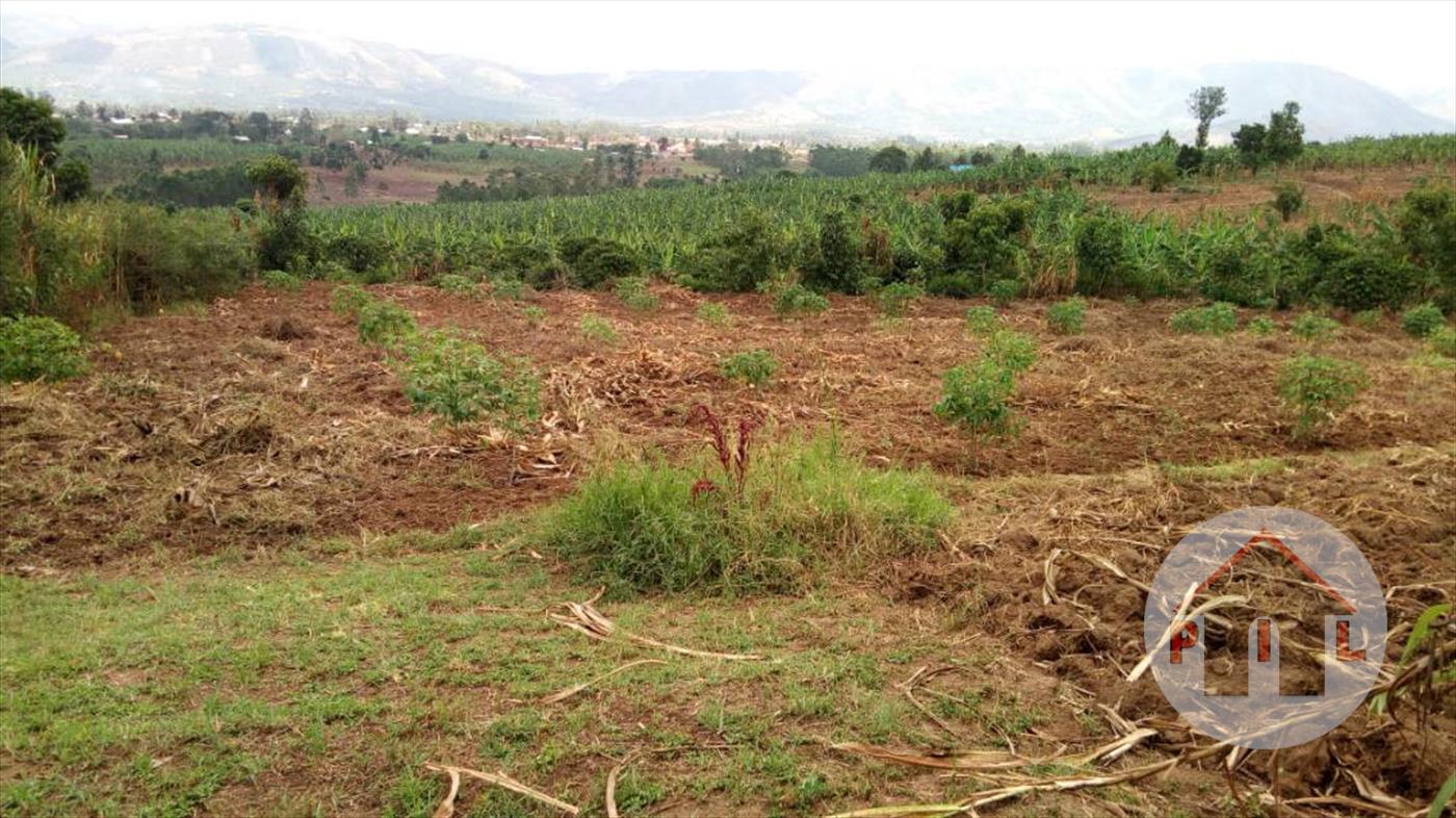 Agricultural Land for sale in Isingiro Busheenyi