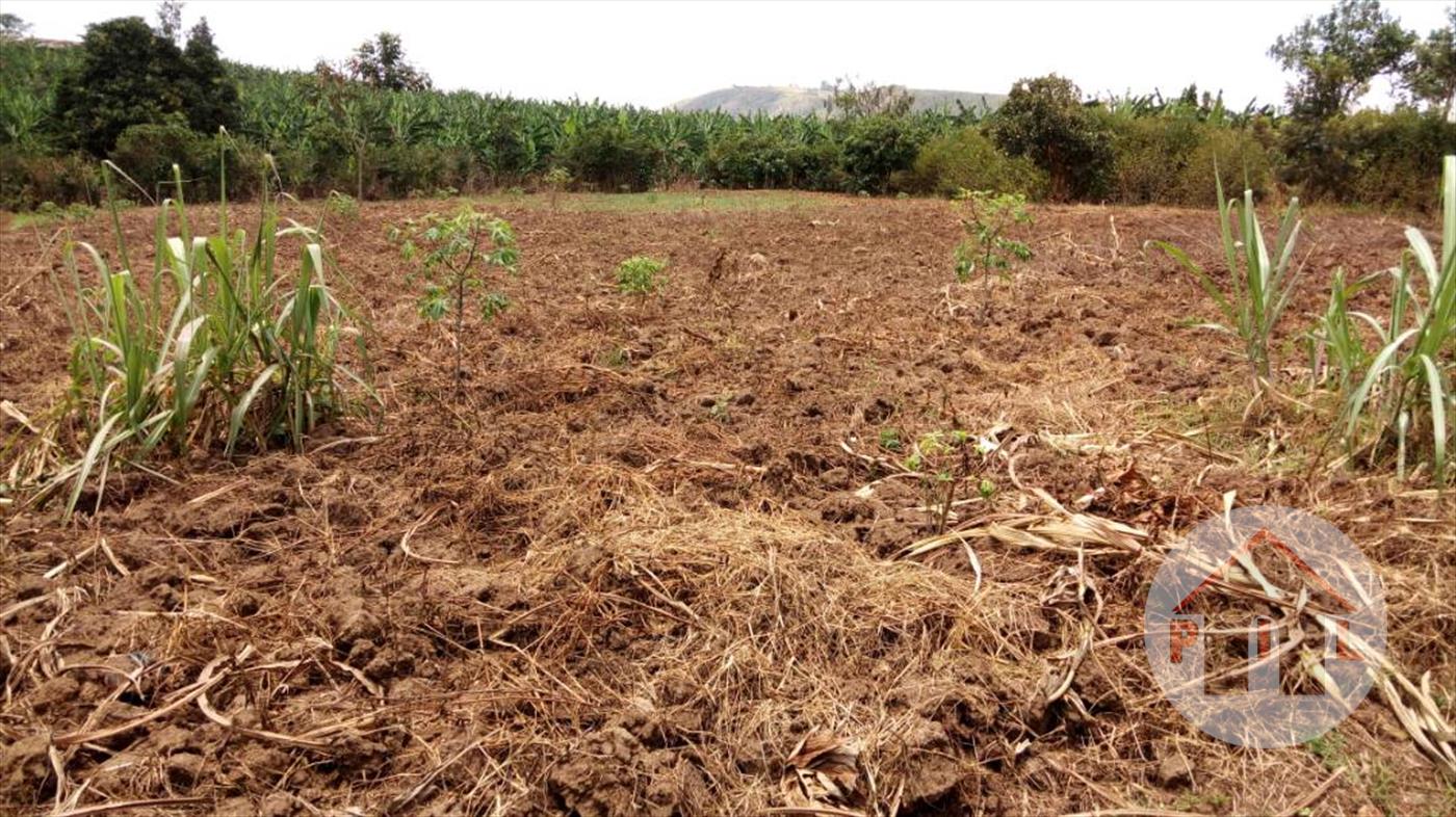Agricultural Land for sale in Isingiro Busheenyi