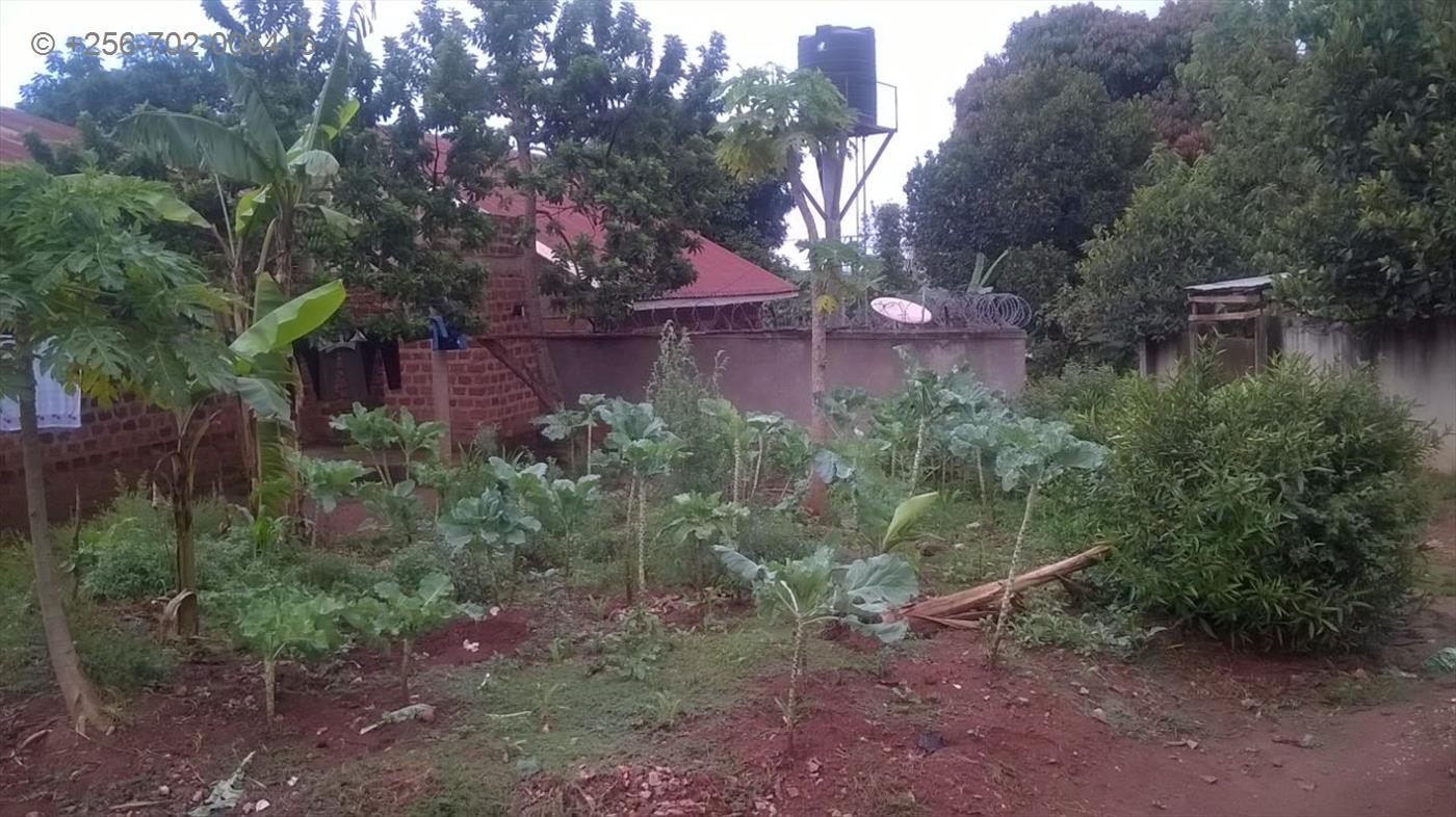 Semi Detached for sale in Namugongo Wakiso