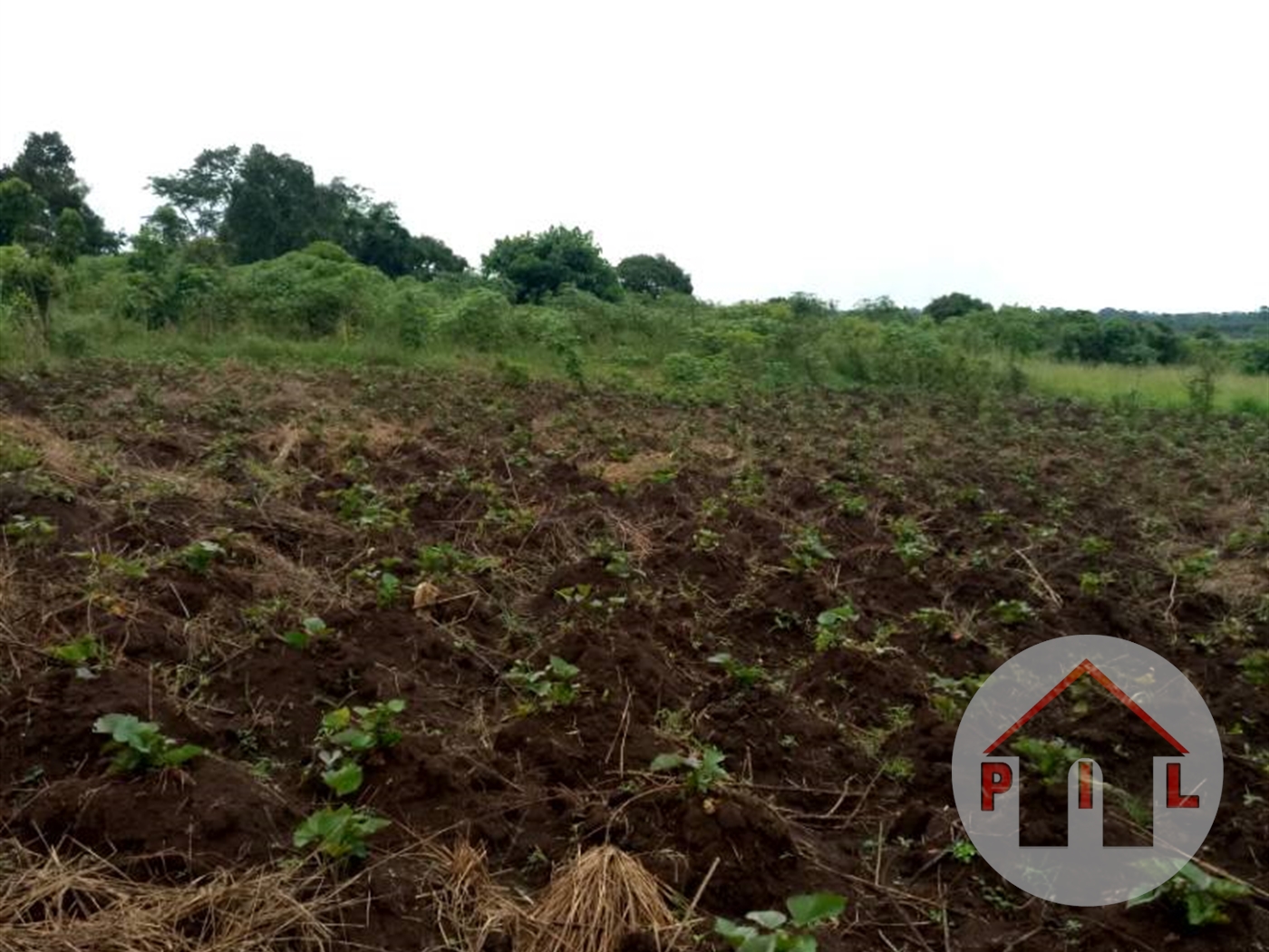 Agricultural Land for sale in Namasumbi Wakiso