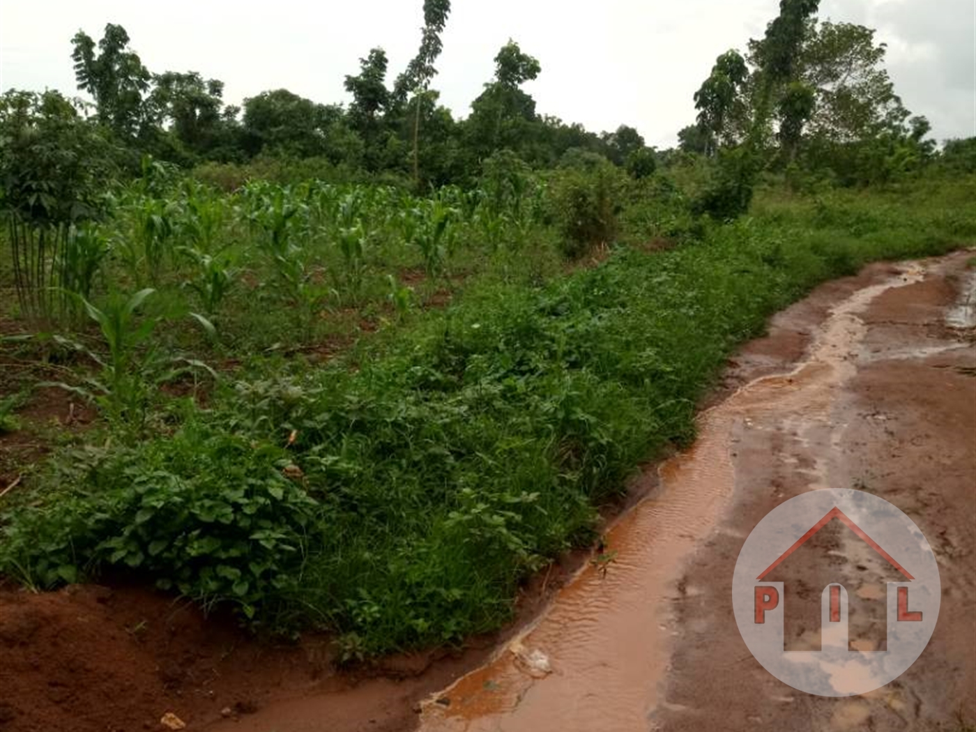 Agricultural Land for sale in Namasumbi Wakiso