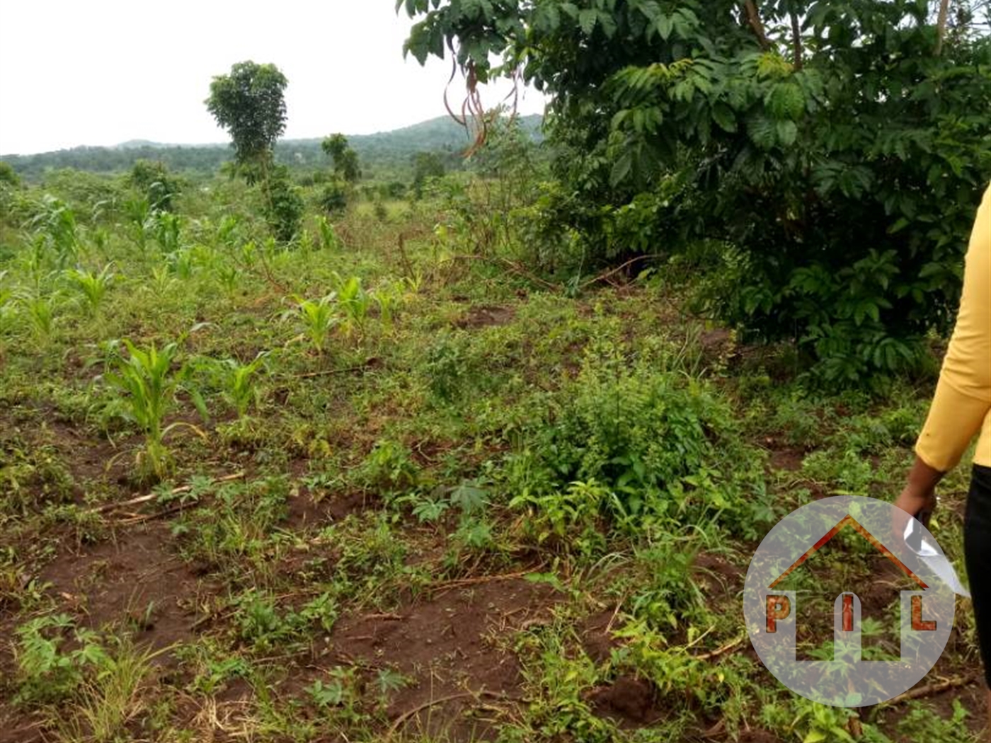 Agricultural Land for sale in Namasumbi Wakiso