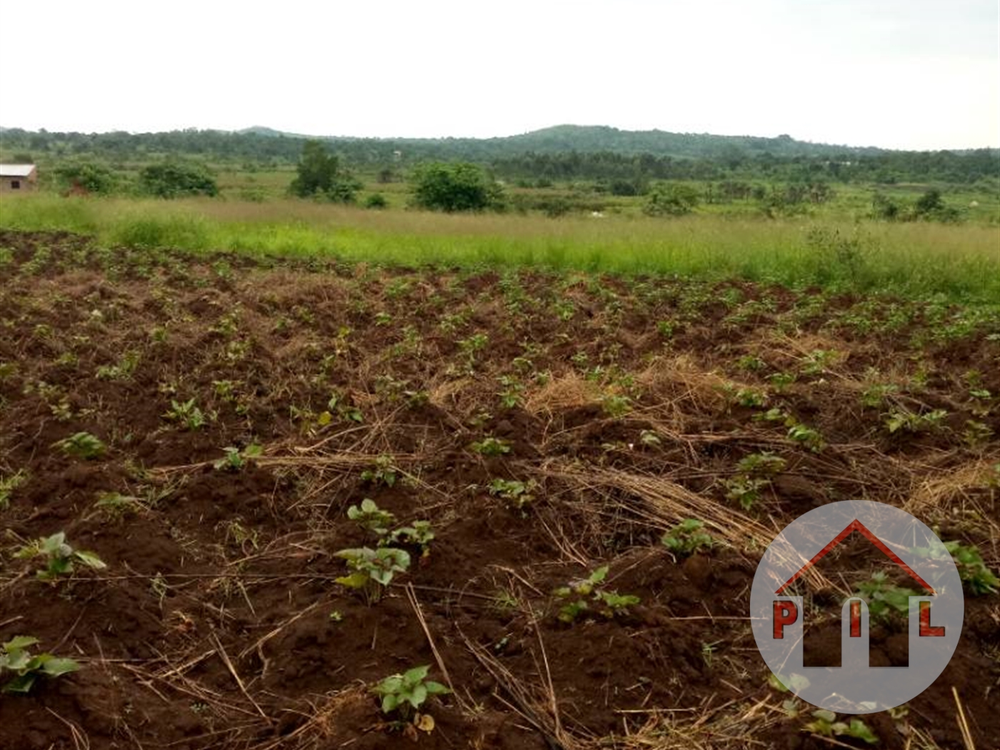 Agricultural Land for sale in Namasumbi Wakiso