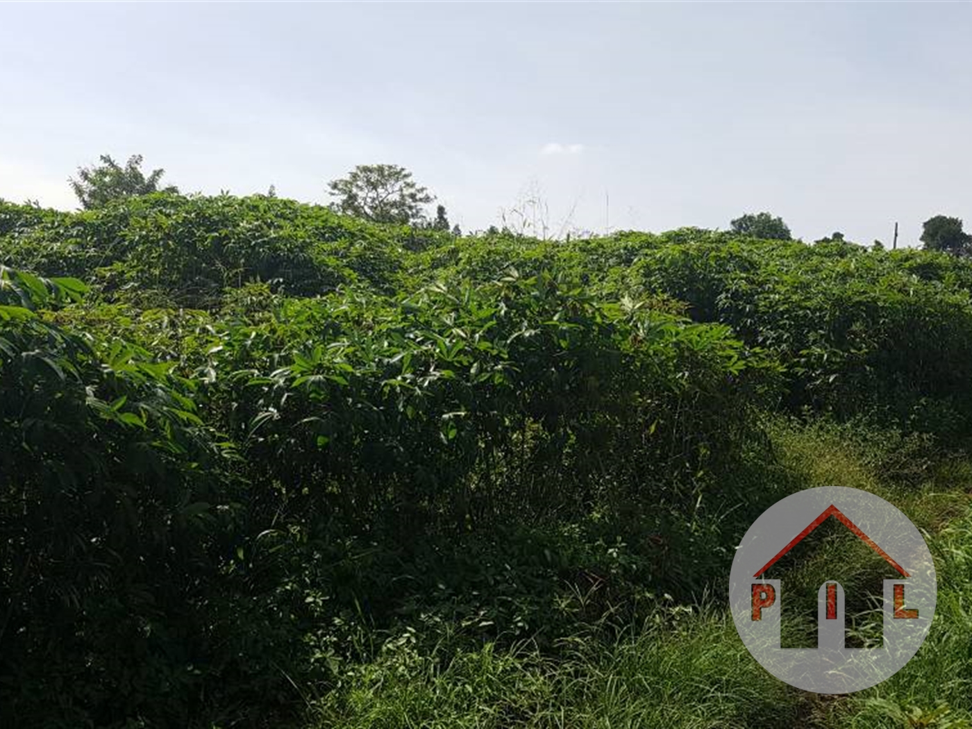 Agricultural Land for sale in Busukuma Wakiso