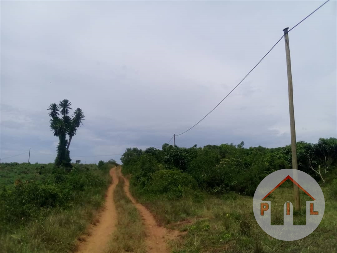 Agricultural Land for sale in Nakawuka Wakiso