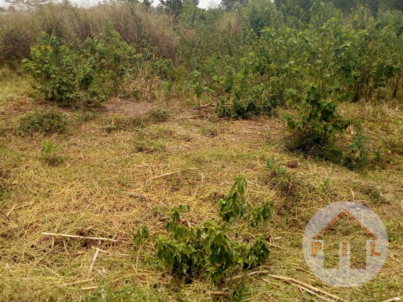 Residential Land for sale in Nakassajja Wakiso