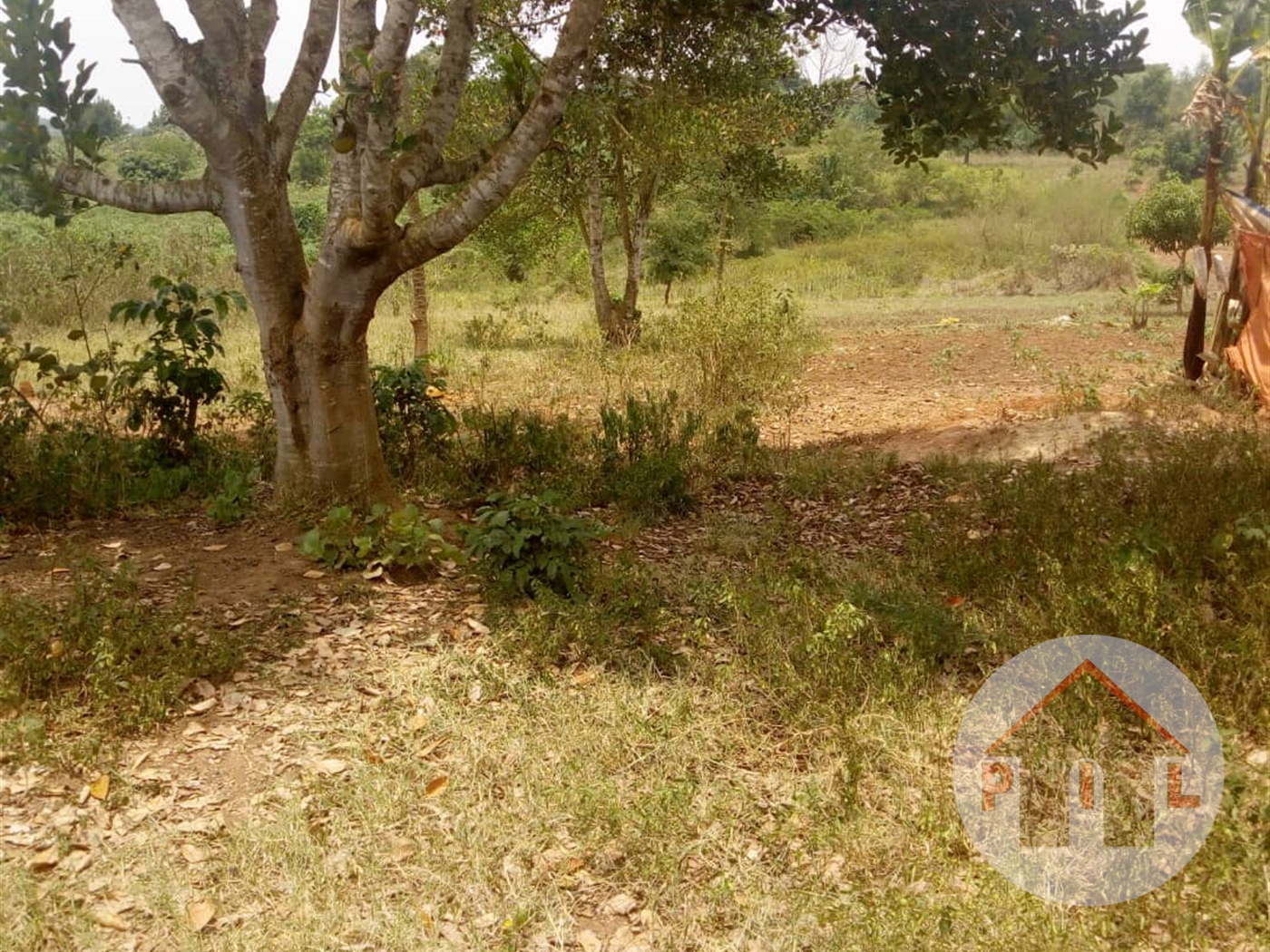 Agricultural Land for sale in Nakassajja Wakiso