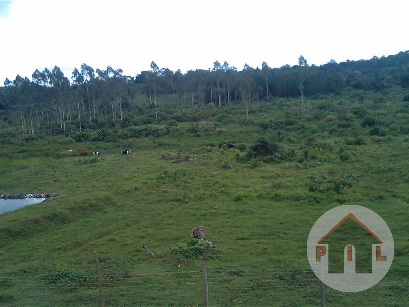 Residential Land for sale in Buziga Wakiso