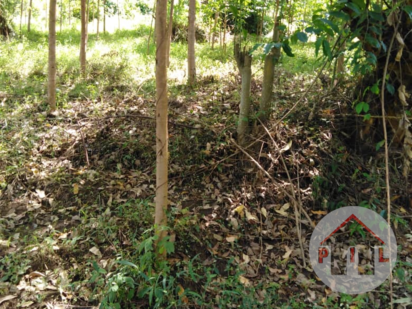 Residential Land for sale in Kiwenda Wakiso