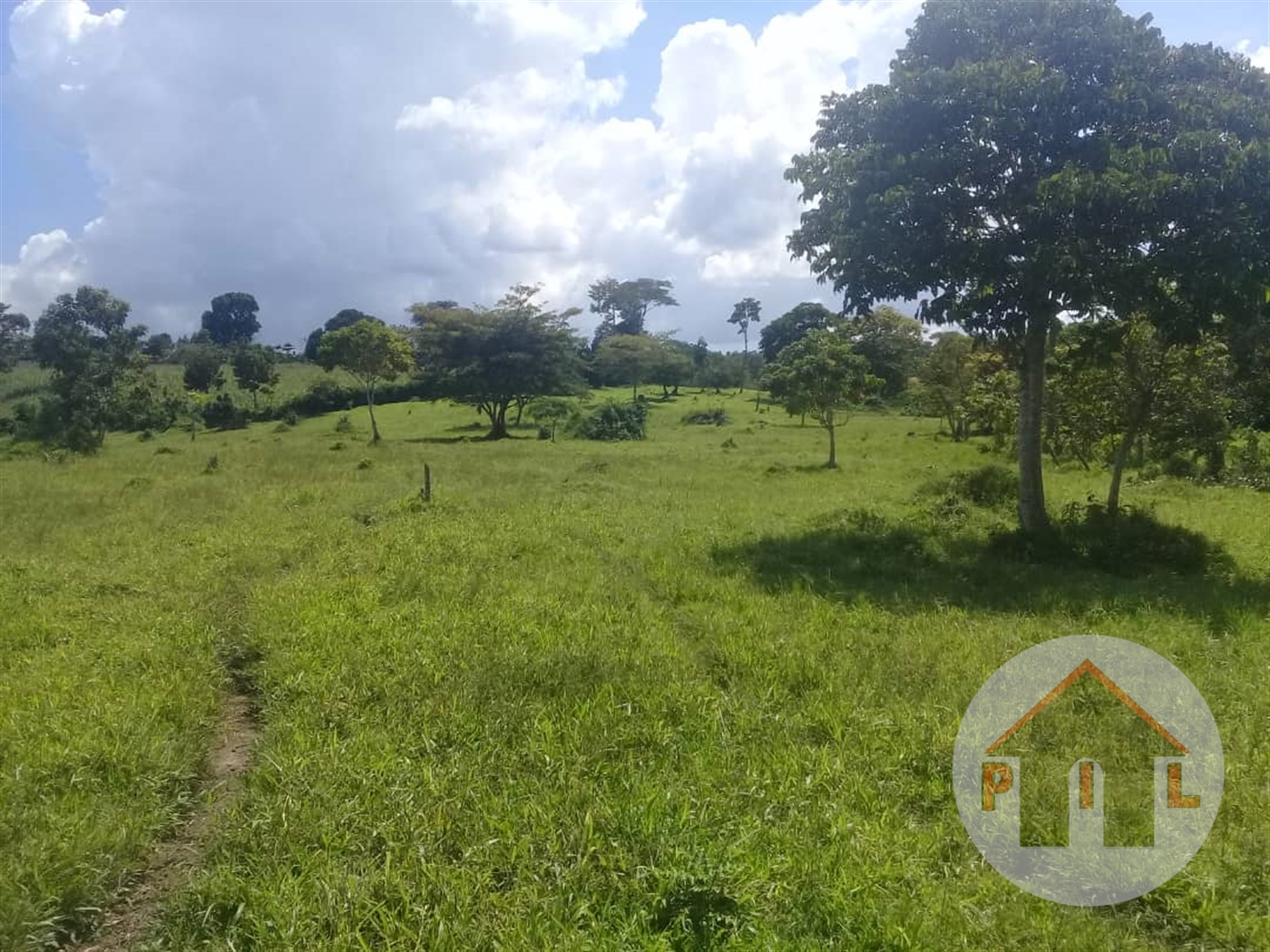 Residential Land for sale in Katikamu Mukono