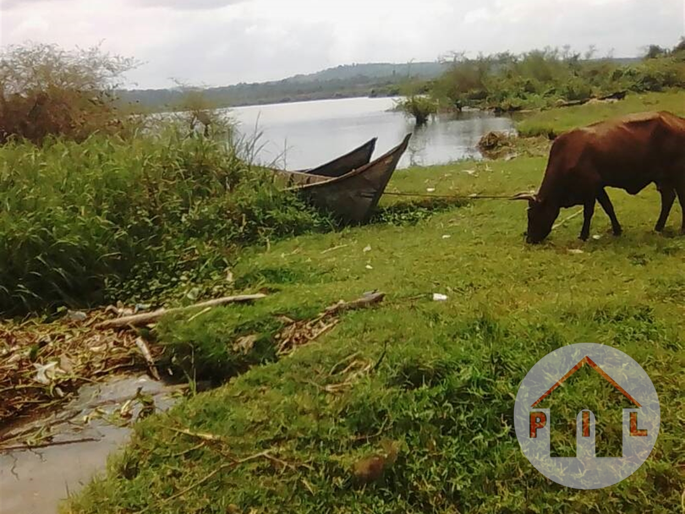 Agricultural Land for sale in Nsonga Mukono