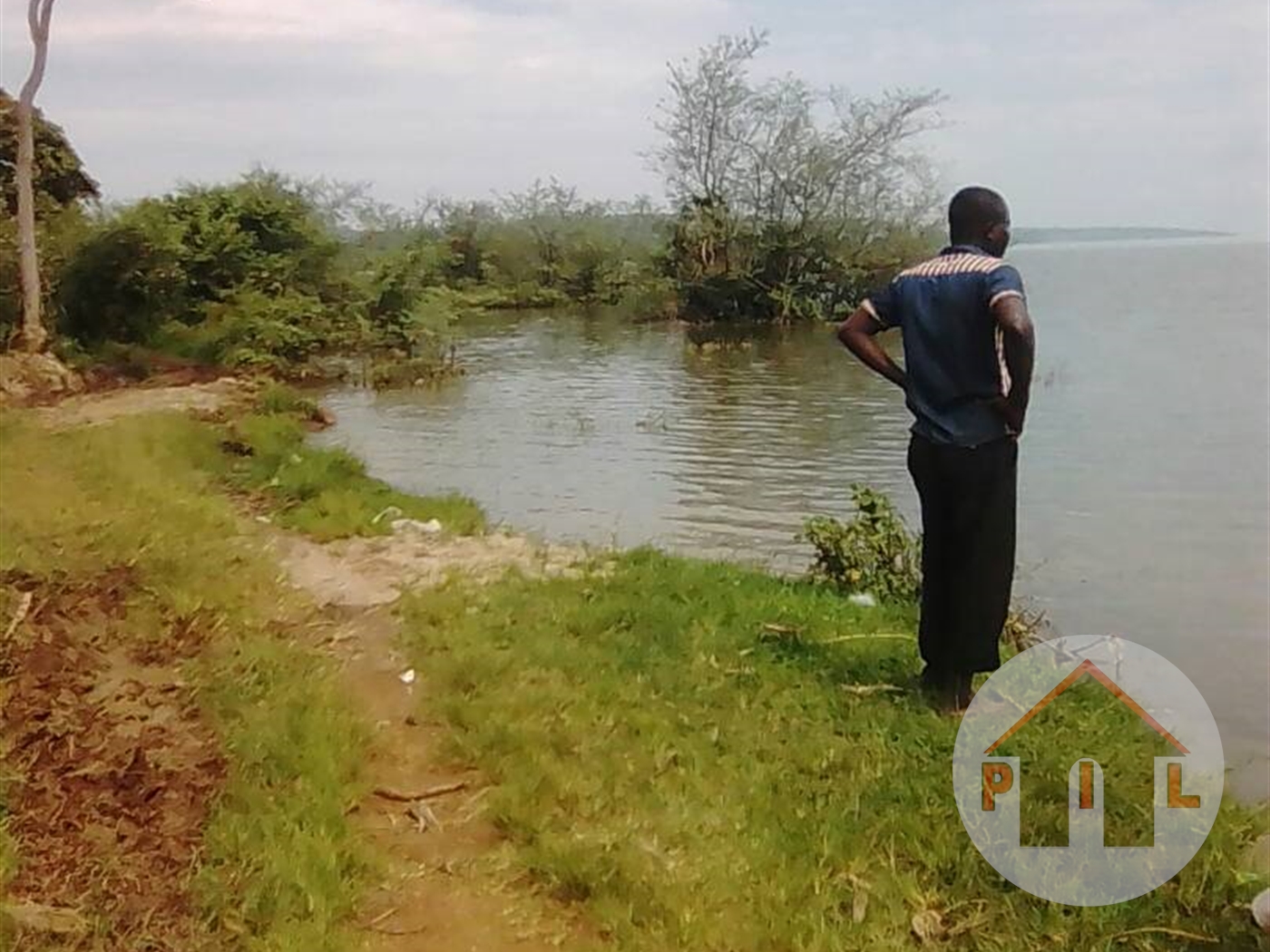 Agricultural Land for sale in Nsonga Mukono