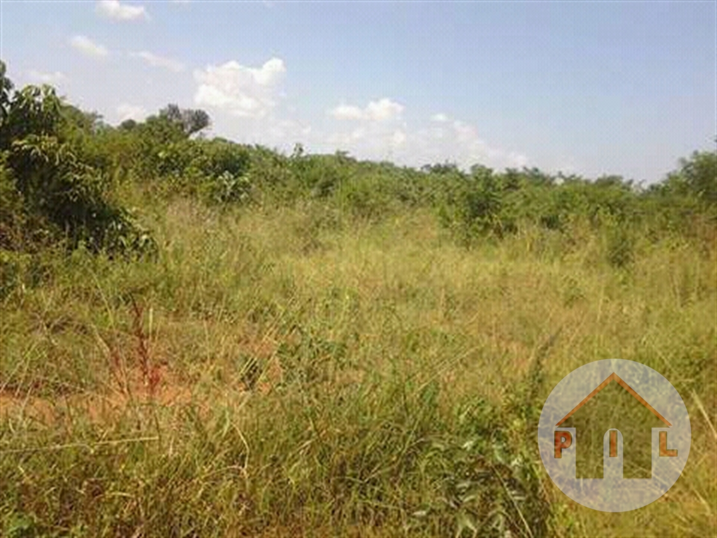 Agricultural Land for sale in Nkokonjeru Mukono