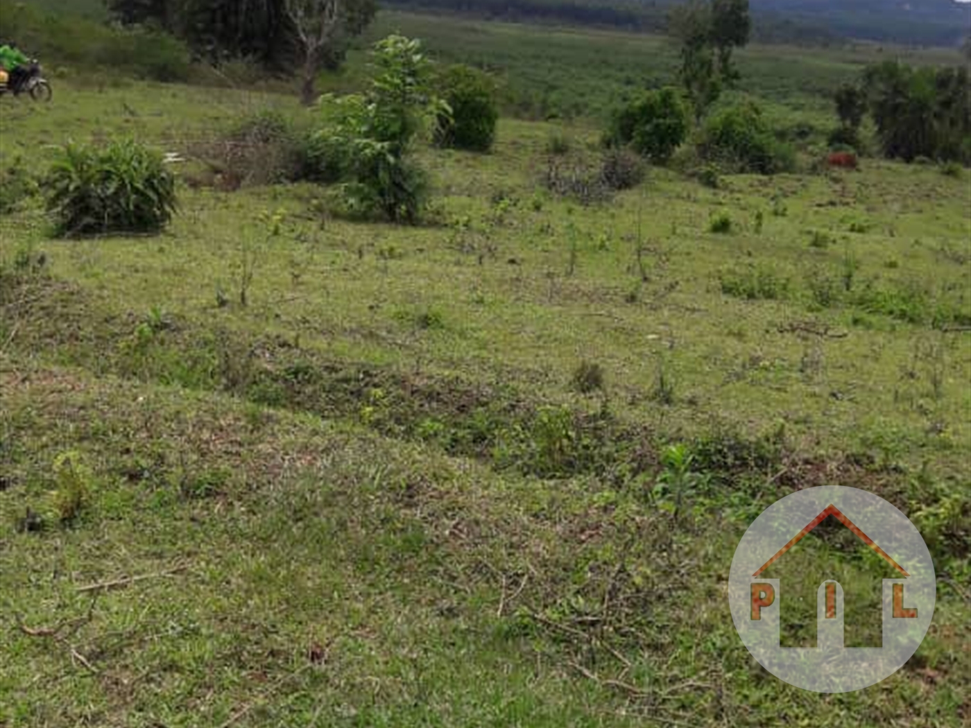 Agricultural Land for sale in Byembogo Kiruhura