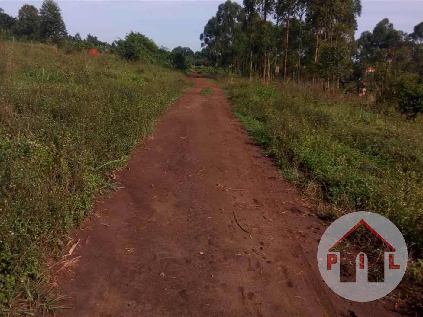 Agricultural Land for sale in Nyarubanga Mbarara