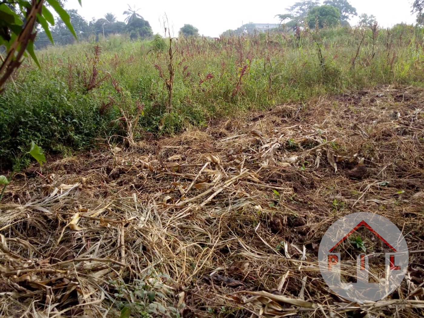 Agricultural Land for sale in Kiwoko Luweero