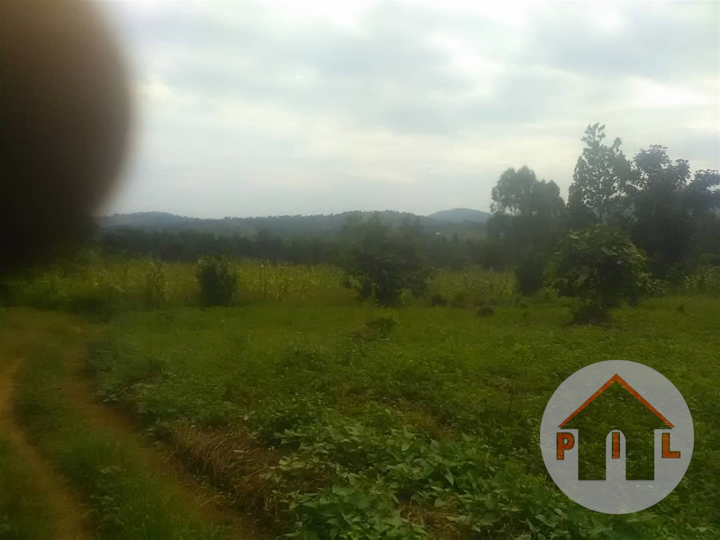 Agricultural Land for sale in Kakiri Wakiso