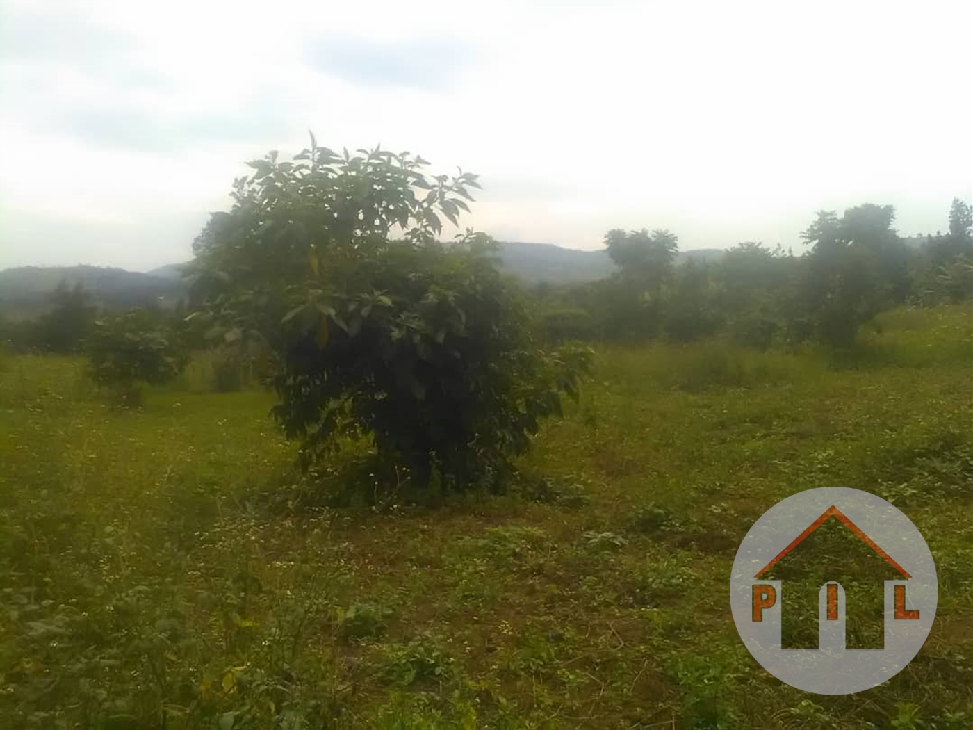 Residential Land for sale in Bwebajja Wakiso