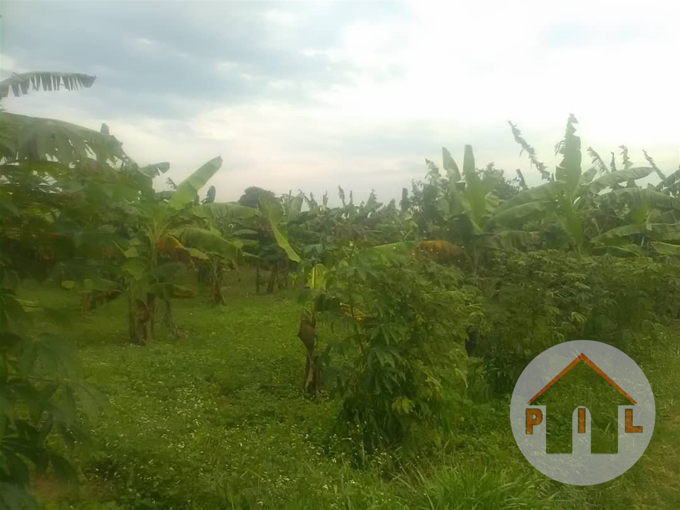 Agricultural Land for sale in Entebbe Wakiso