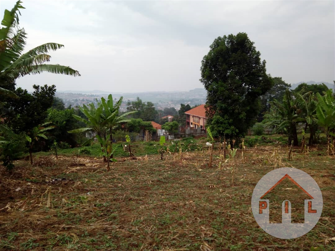 Agricultural Land for sale in Mazzi Luweero