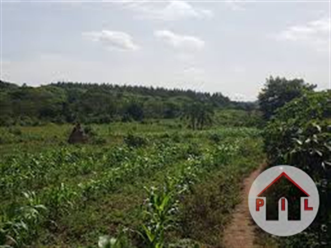 Agricultural Land for sale in Mazzi Luweero