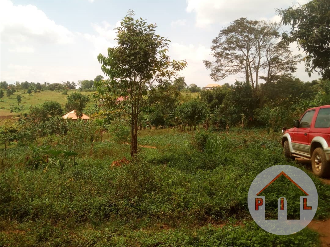 Agricultural Land for sale in Ziloobwe Luweero