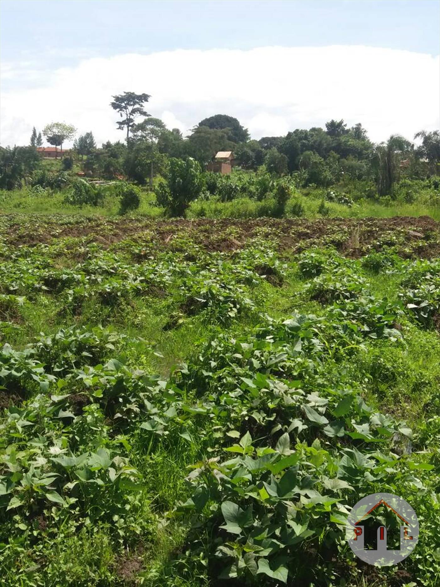 Agricultural Land for sale in Seeta Mukono