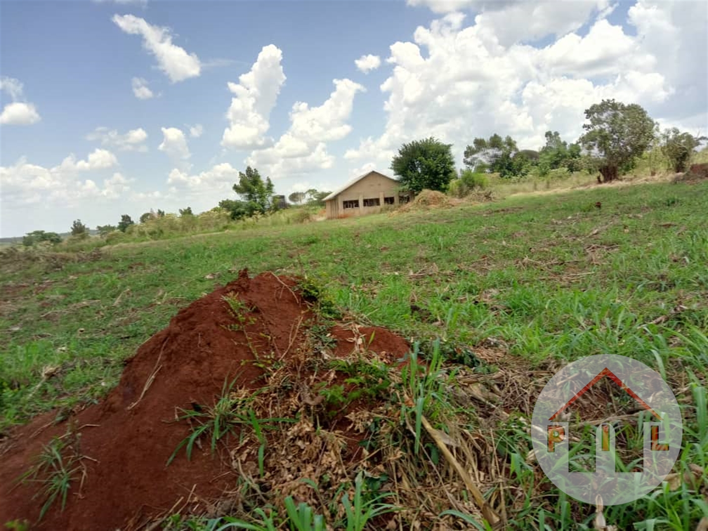 Agricultural Land for sale in Entebbe Wakiso