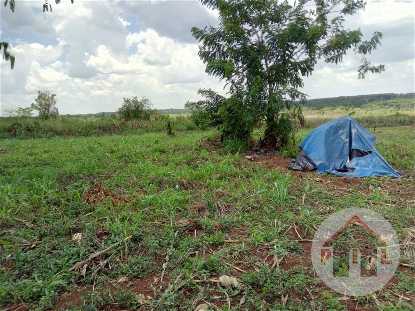 Agricultural Land for sale in Gayaza Wakiso