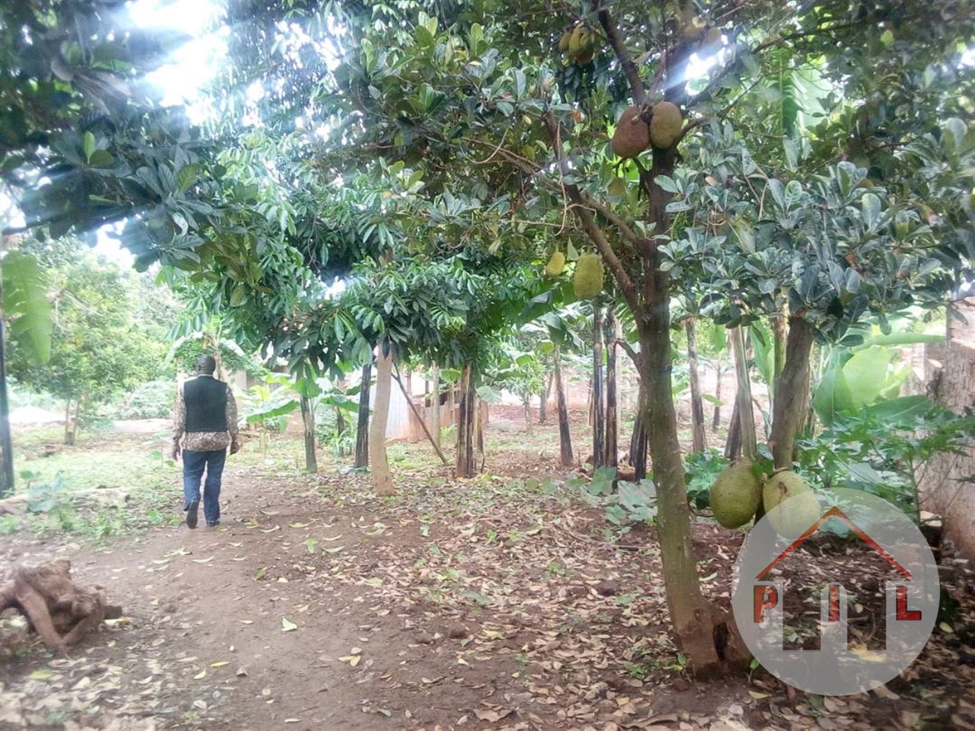 Residential Land for sale in Munyonyo Kampala