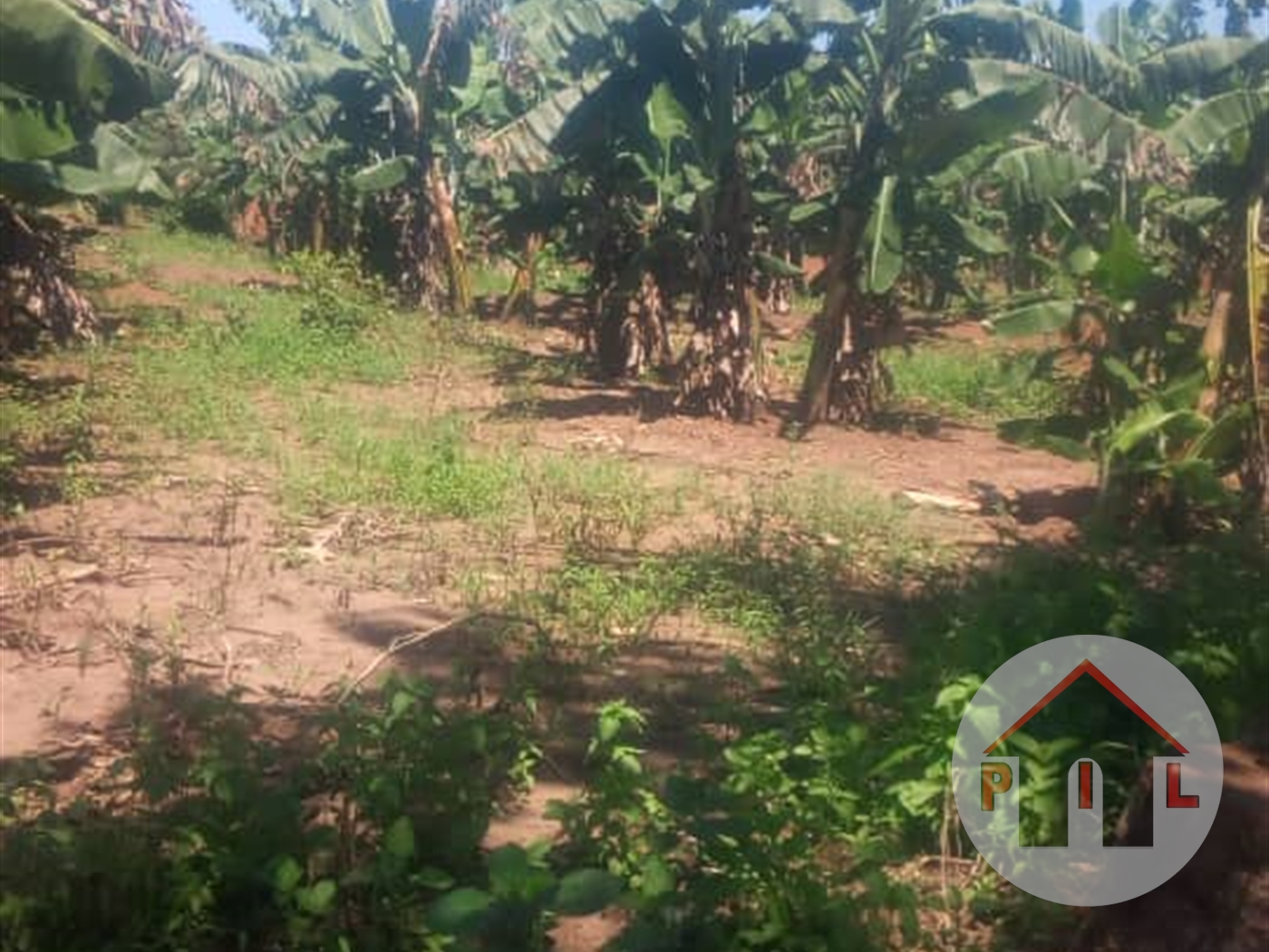 Agricultural Land for sale in Vvumba Wakiso