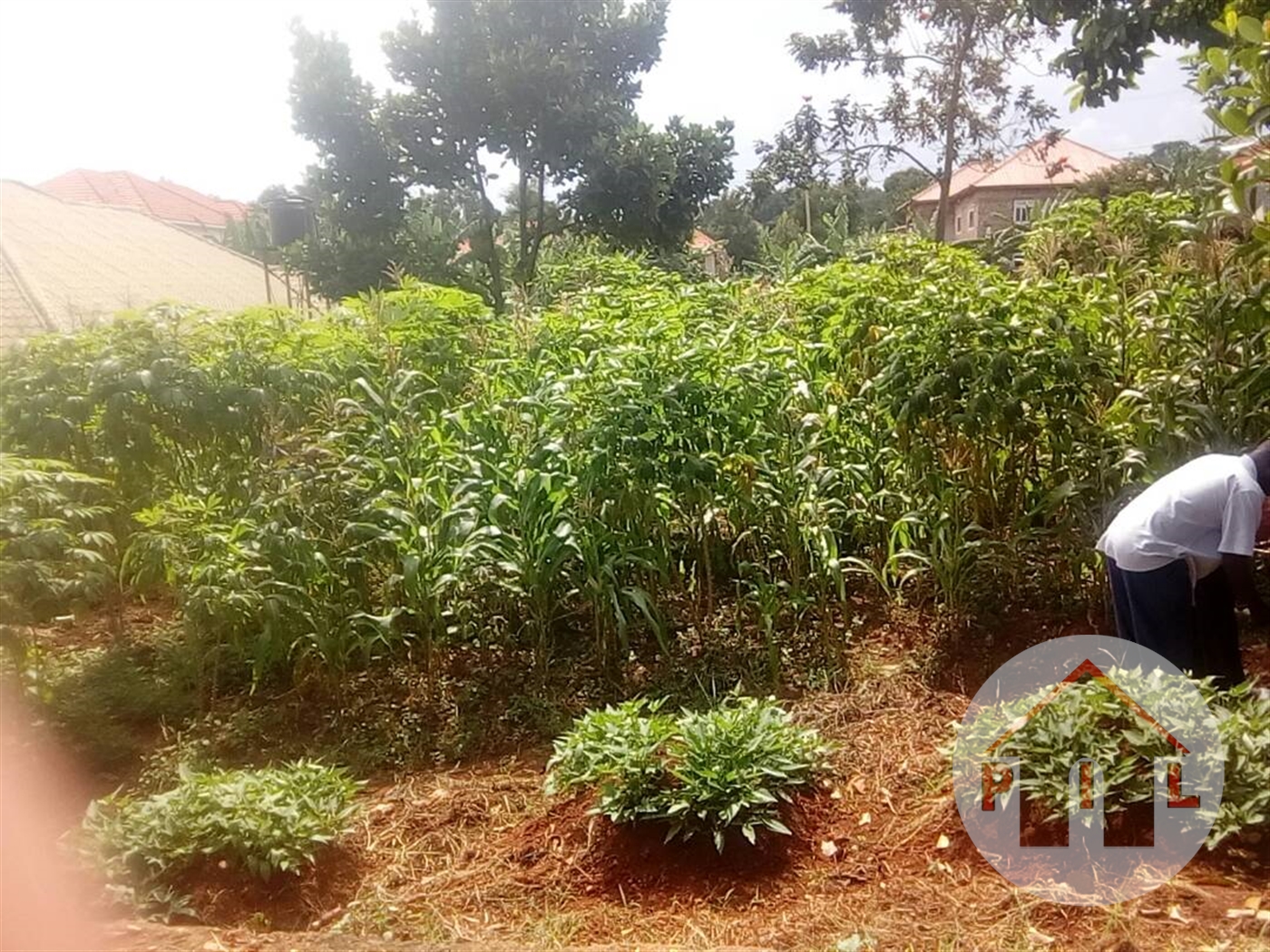 Residential Land for sale in Kira Wakiso