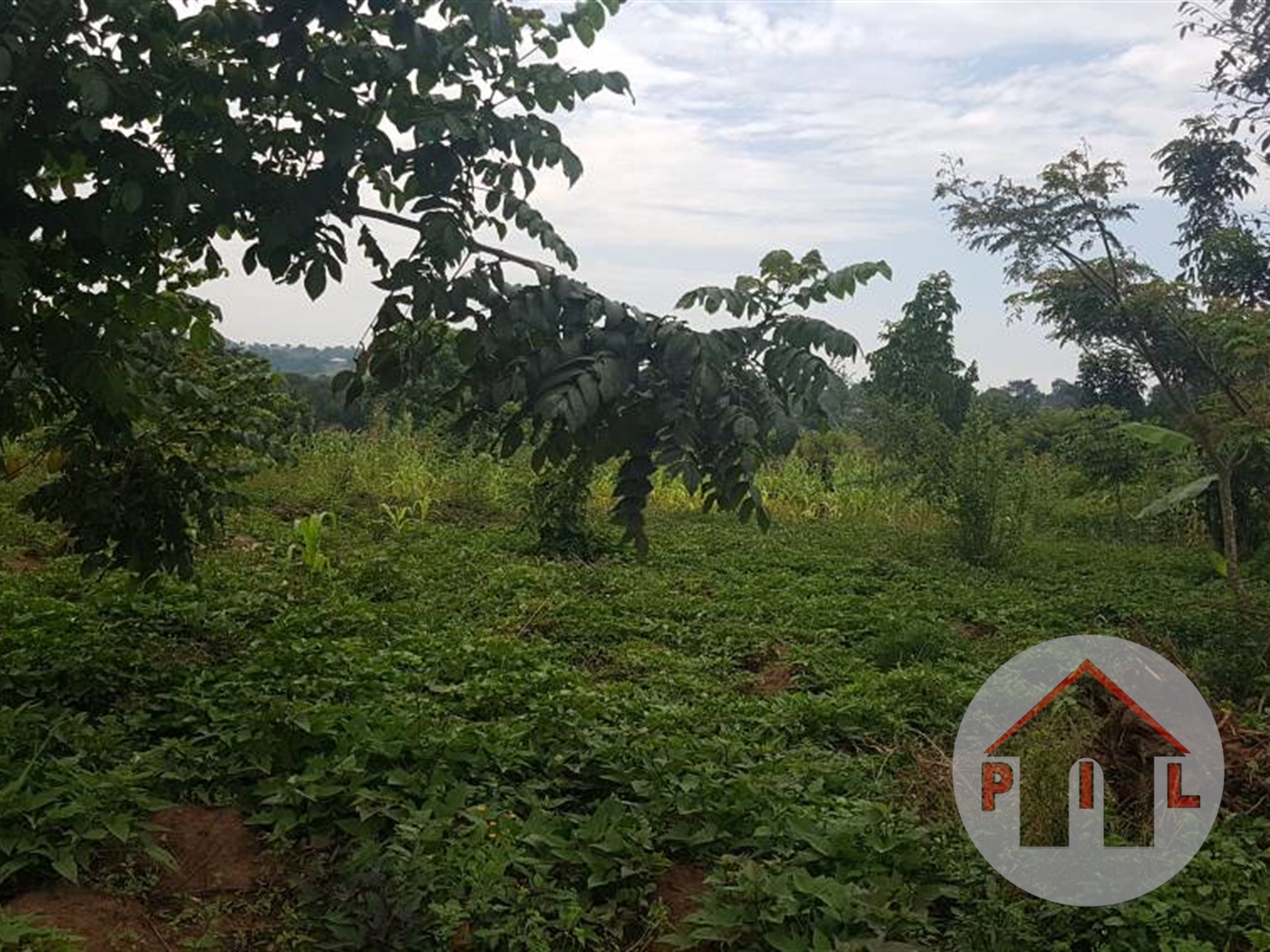 Agricultural Land for sale in Galilaya Kayunga