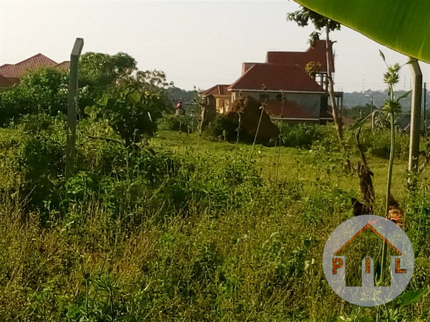 Agricultural Land for sale in Ngaju Luweero