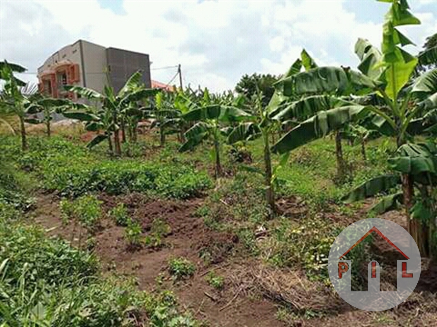 Residential Land for sale in Gayaza Wakiso