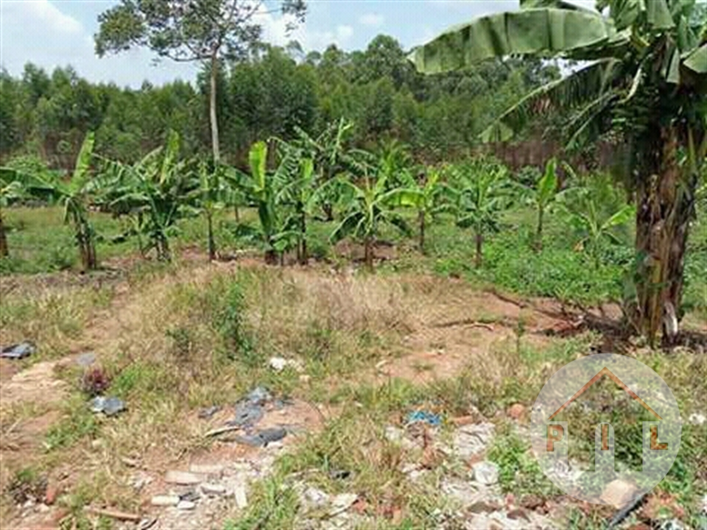 Residential Land for sale in Gayaza Wakiso