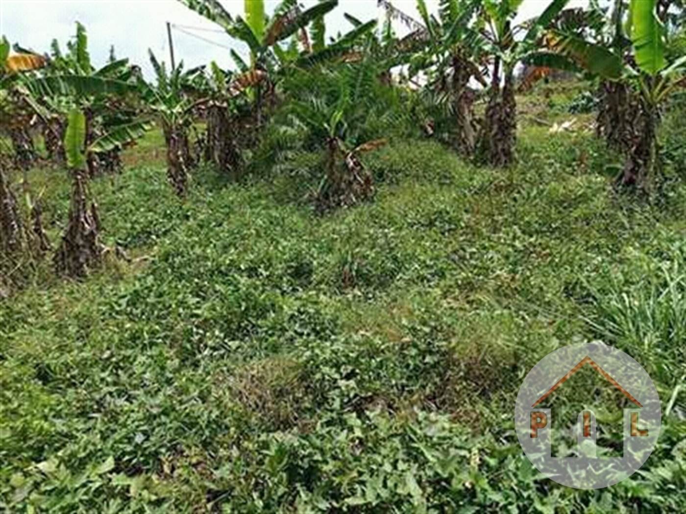 Residential Land for sale in Gayaza Wakiso