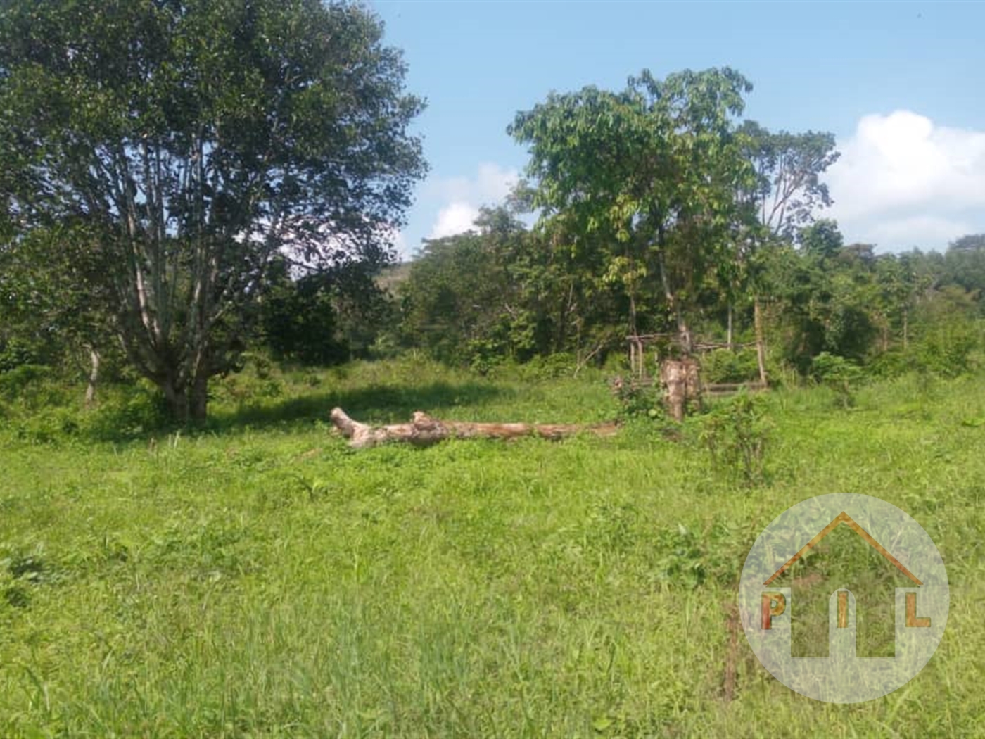 Agricultural Land for sale in Namalimba Luweero