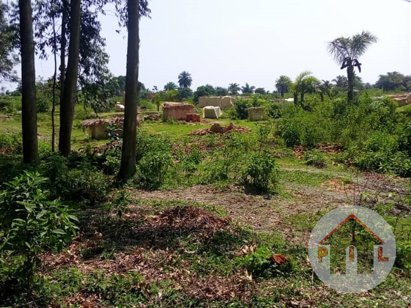 Agricultural Land for sale in Kyaluweza Nakasongola