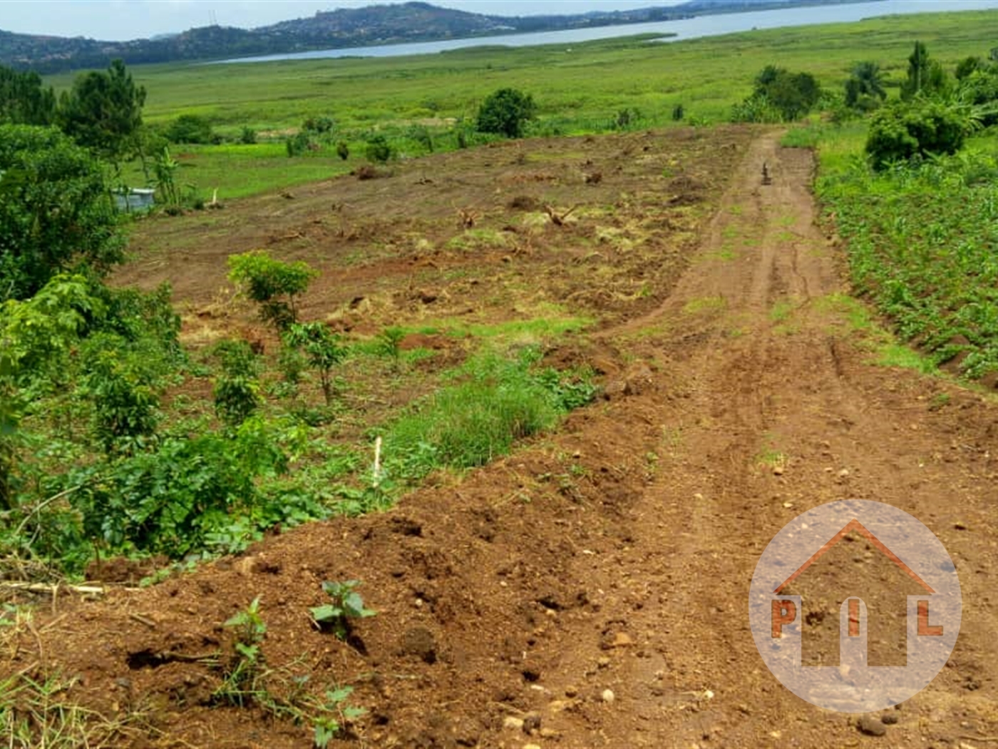 Agricultural Land for sale in Kakooge Nakasongola