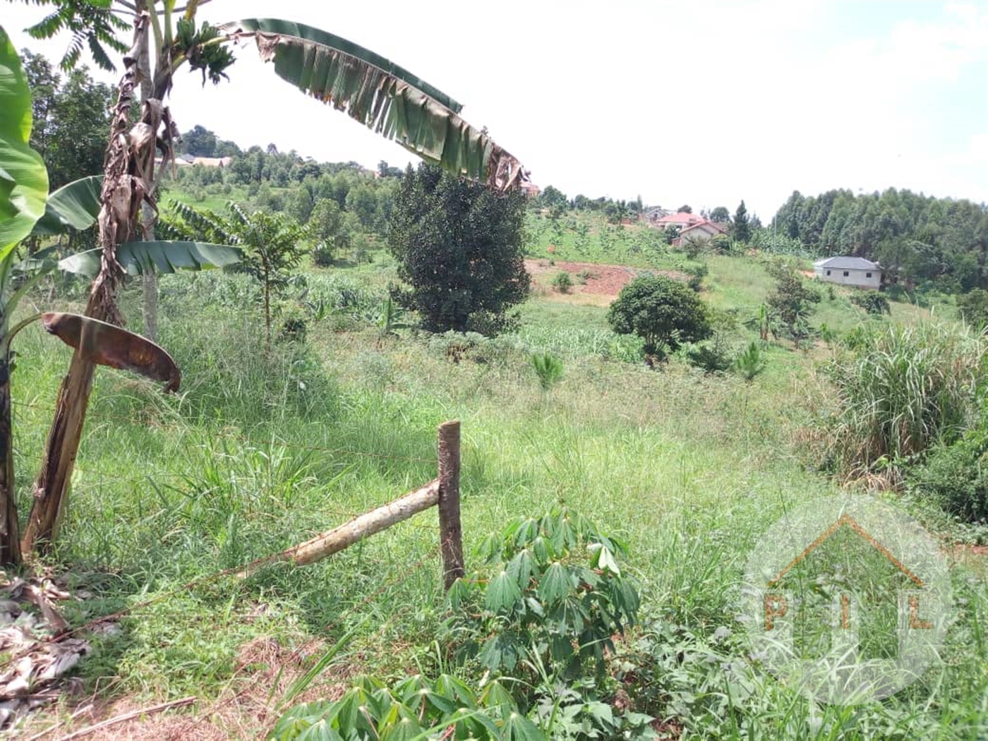 Agricultural Land for sale in Luweero Luweero