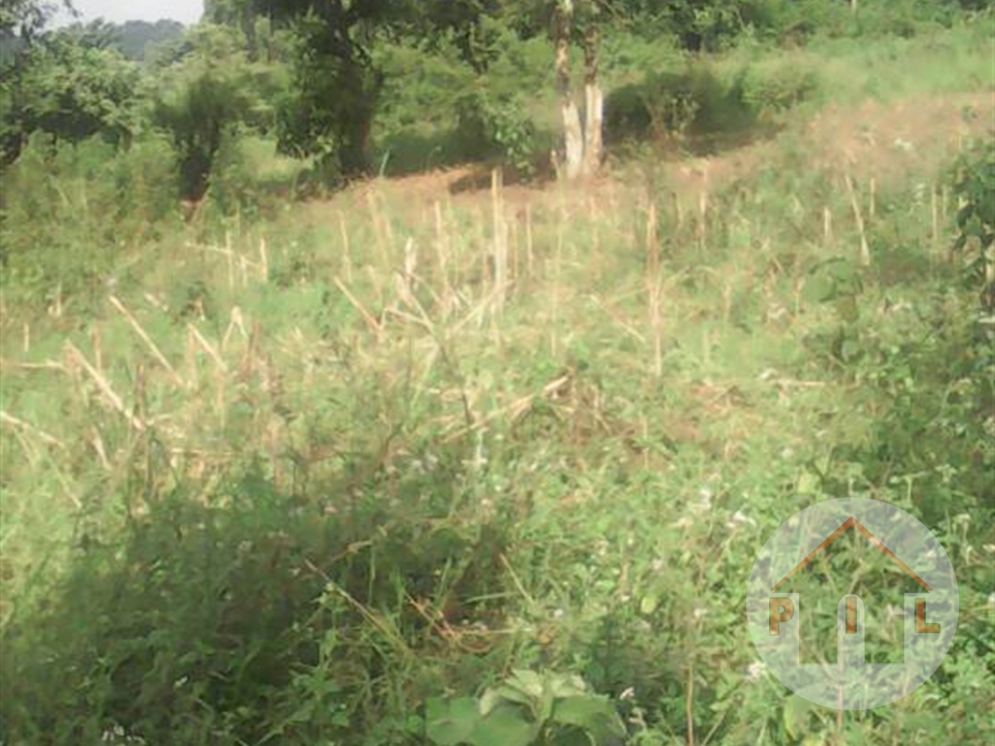 Agricultural Land for sale in Nangabo Wakiso